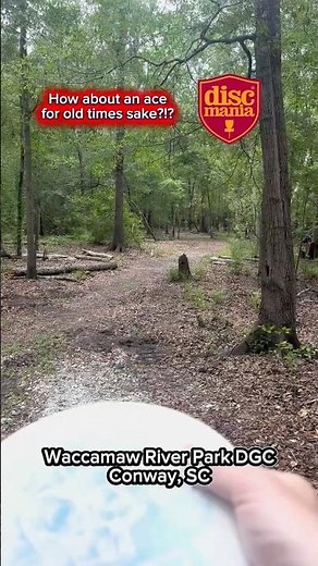 Disc Golf Ace Run at Waccamaw River Park Discmania Exo Hard Link on Day 2,243 of everyday disc golf