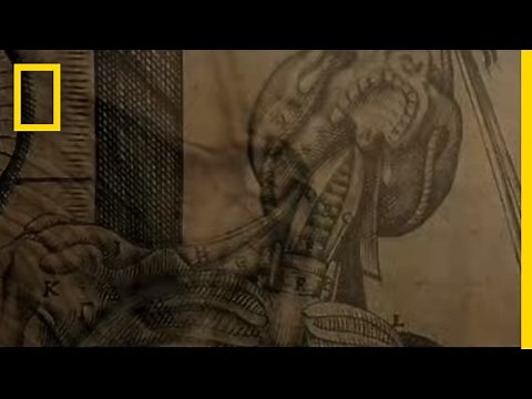 10 Facts About Medicine | Origins: The Journey of Humankind