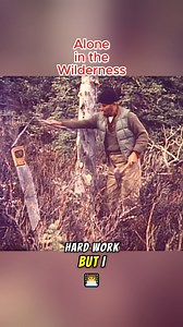 Alone in the Wilderness- Dick Proenneke 1968 #dickproenneke #aloneinthewilderness #1960s | Ariadna Castilla vitromosaico