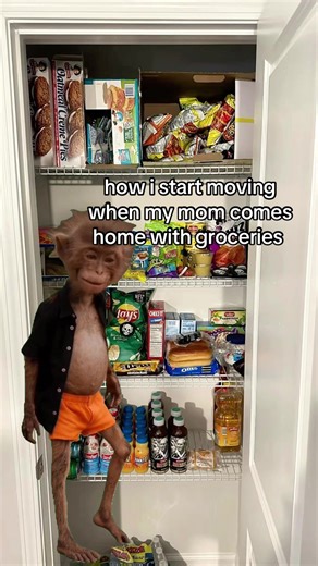 #Meme #MemeCut #fyp #reletable #groceryshopping | grocery shopping
