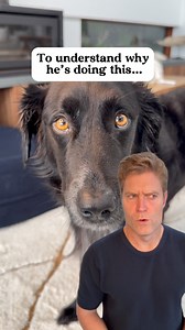 112K views · 141 reactions | Feel like escaping somewhere warmer? Try...