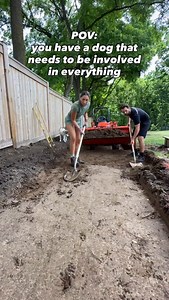 25K views · 174K reactions | Always on duty 﫡 #dogs #funny #dogsofinstagram | Sabrina Pougnet | Facebook