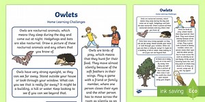 EYFS Owlets Home Learning Challenges Nursery FS1