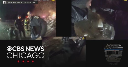 Glendale Heights police rescue car crash survivors from icy pond: bodycam video
