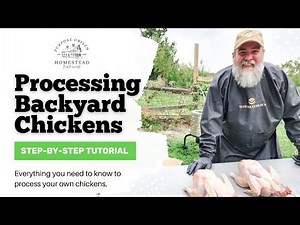 Backyard Chicken Processing SIMPLIFIED - Start to Finish