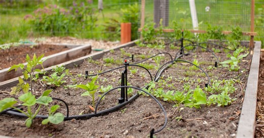 What to do now to prevent spring weeds