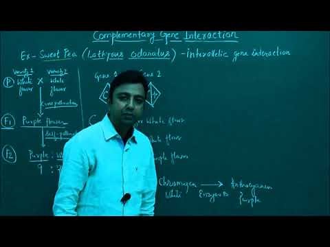 Concept of Complementary Gene Interaction