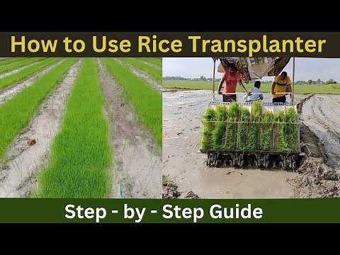 How to Use a Rice Transplanter: Step - by - Step Guide.