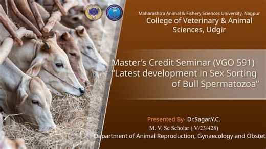 Sex Sorted Semen Advances Livestock Productivity | Dr.Sagar Y.C posted on the topic | LinkedIn