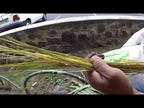 BALAI COCO Confection