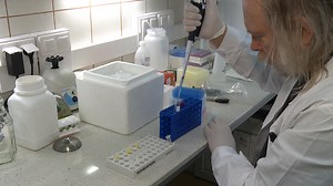 In Vitro Directed Evolution of a Restriction Endonuclease with More Stringent Specificity