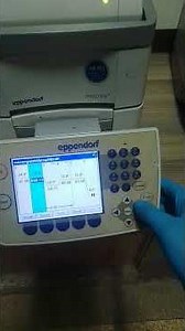 Protocols of Eppendorf realplex⁴ a real-time PCR (qPCR) machine| DNA/RNA quantitative amplification