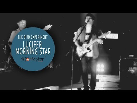 New English Album Song - Lucifer Morning Star | The Bird Experiment Official Music Video | #Monkstar