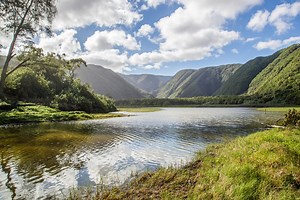 Hawaiians fight back against GMO experiments