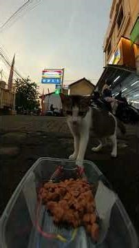 Udah Laper… Tapi Gak Sadar Makanannya di Depan Mata