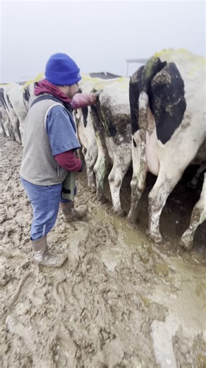 mike..5.7 (@mike..5.7)’s videos with sonido original - mali_bl