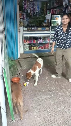 Cutie kid enjoying pamper with friendly # viral video # youtube shorts