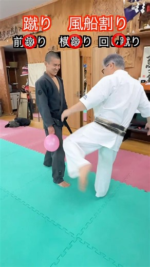 【武道・武術】風船を蹴り技で割れ！YASUの父が坂本に蹴り込んだらそれどころじゃなかった！！#aikido ＃karate #martial #武道 #空手＃合気道＃筋トレ#selfdefens