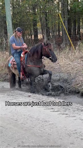 Horses: The Comedic Drama of Bad Toddlers