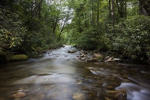 Secret Swimming Spot - Davidson - Asheville Insiders Guide