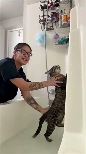 Cat vs Bath 😾💦 #cat #viral
