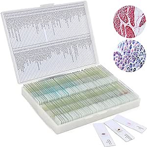 Amazon.com: 120 Prepared Microscope Slides for Kids & Students, Microscope Glass Slides Set Including Animal & Plant Specimens, Suitable for School and Home Education : Industrial & Scientific