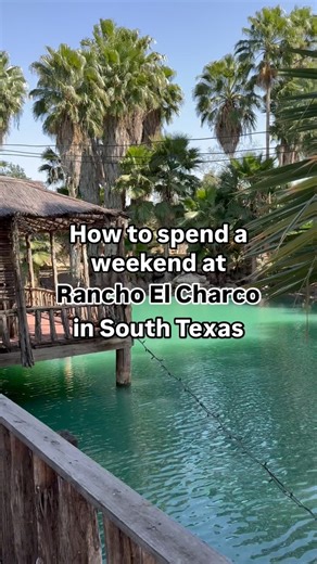 1.5K reactions · 146 shares | Start with horseback riding, add a dash...