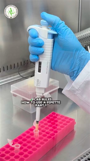 LAB RULES: How to Use a Pipette? Part 1