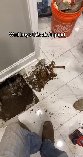 Trey (@treyscars) - Discover the Untold Story Behind the Bones #Storytelling