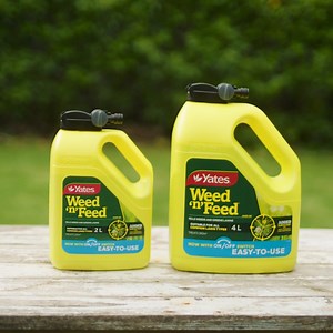 560K views | Yates Weed 'N' Feed is formulated to eliminate broadleaf weeds, and give your lawn nutrients to promote healthy green growth | Yates NZ | Facebook