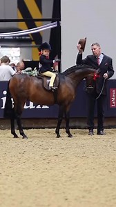 Derw Dream Boy & Sienna 3rd Lead rein Show pony Oh Dave, our little elegant, rocking horse. Who has the personality of a Labrador, the arrogance of a supermodel & the attitude of a rockstar ⭐️, in-fact that last one could be said for your little jockey Sienna too 😆💕💕 - we will always adore this partnership, last year was the dream, but it’s not hard to come back and enjoy showing this beautiful pair. Well done Sienna 💜💛💜 #fedontopspec #supremeproductshorse #showingselection #performequine 