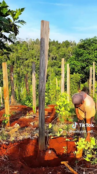 Semangat beraktivitas ya kawan💪 #fyp #petanilada #fyp #jangkauanluas