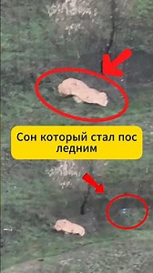 Мгновение невнимательности… и всё изменилось