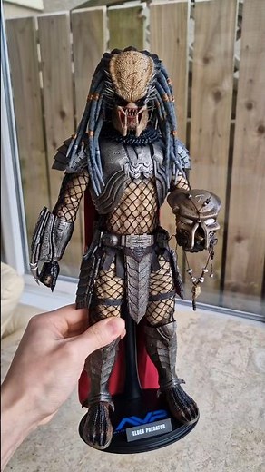 Hot Toys Alien vs Predator Figure 👑 #hottoys #alienvspredator #avp #predatorbadlands #alienearth