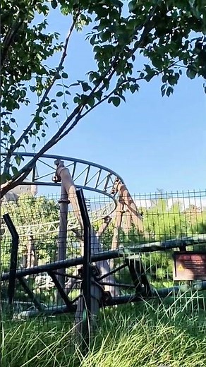 Harry Potter Flight of the Hippogriff ROLLERCOASTER Ride at Universal Studios