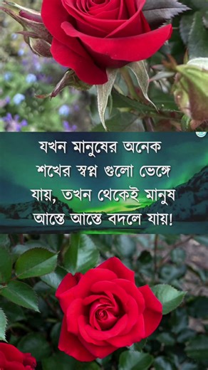 Motivational bangla speech #tiktok #creatorsearchinsights #quotes #CapCut #bani