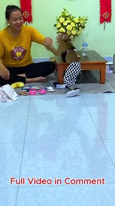 How is Lyly Monkey doing? Swiftly hiding beneath the table, Lyly performed the unbelievable.......#Babymonkey #Monkey #Monkeylyly #Famliylyly | Monkey LyLy Famliy
