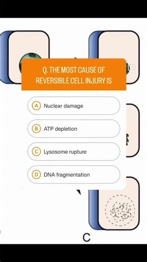 Quiz on cell injury