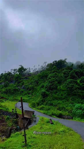 Riyas Rayan on Instagram: "🌳🍀🌱🍃 . . . . . . . #attapadi #attapaditourism #attapadi_hills #hills #placetogo #lovenature #nature #hillstation #naturelovers #mountains #tamilnadu #travel #travelphotography #mobilephotography #travelgram #keralagram #tourism #trip #roadtrip #instagood #reelsinstagram #reels #wildlife #mansoon #rainyday #memories @mallu_yaathrikar"