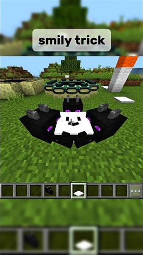 smily trick 😆💀 #minecraft #gaming