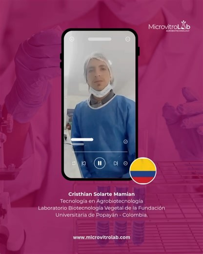 Agrobiotechnology® 🌱💮🏵️🇨🇱 on Instagram: "¿Te interesa formarte en biotecnología vegetal y cultivo in vitro? 🌱🔬 En MicroVitro Lab desarrollamos programas de formación 100% online, diseñados para entregar conocimientos aplicables y alineados con la práctica profesional. Nuestros cursos incluyen: 🔹 Niveles introductorio y avanzado. 🔹 Contenidos claros, actualizados y orientados a la aplicación real. 🔹 Certificación al f