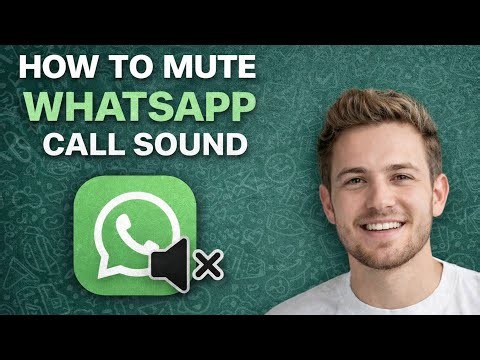 how to mute whatsapp call