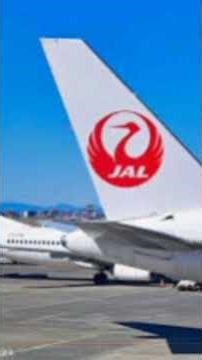 JAL機体が揺れ…機内で客室乗務員が重傷