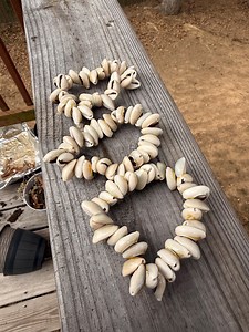 Cowrie Shell Bracelet - Etsy