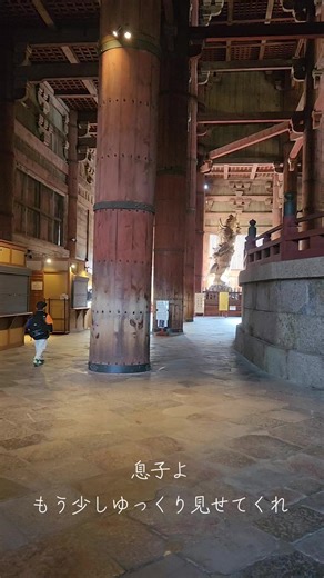 【早いぞスピードw】 #奈良公園 #奈良の大仏 #鹿 #東大寺 #奈良