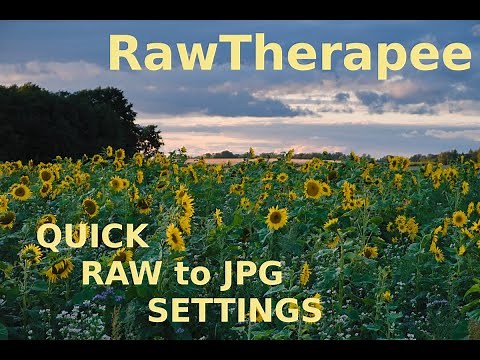 RawTherapee --- quickly from RAW to amazing JPEG images!