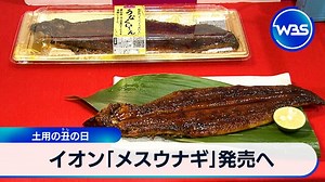 イオン「メスウナギ」発売へ　土用の丑の日｜テレ東BIZ