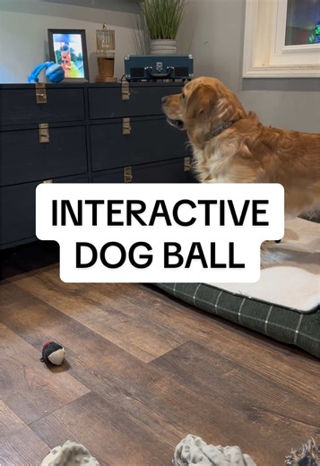 Interactive Dog Ball: Perfect for Endless Playtime
