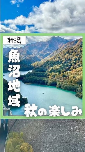 【新潟・魚沼地域】秋の楽しみ！紅葉スポットやグルメ、お寺など魅力が盛りだくさん！ #旅行 #魚沼 #南魚沼 #新潟観光 #新潟旅行 #地元応援 #地域活性化 #地方創生 #魚沼観光