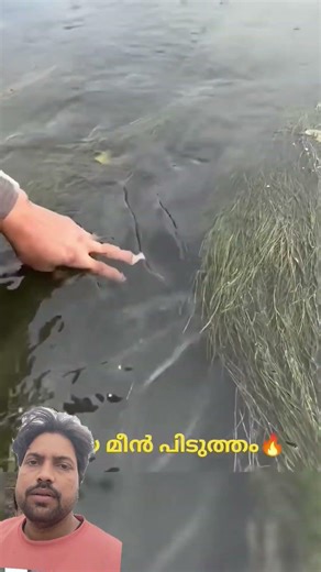 പുതിയ മീൻ പിടുത്തം #mallutraveler#fishingfreaks #shortsX#mallu#malayalam#m4tech